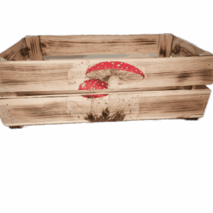 Bedýnka BEA, s obrázkem - houby, muchomůrky