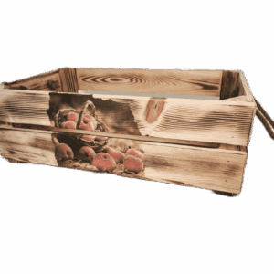 Bedýnka BEA, s obrázkem - ovoce, jablka