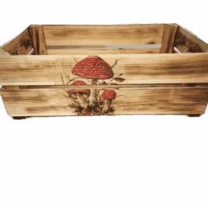 Bedýnka BEA, s obrázkem - houby, muchomůrky