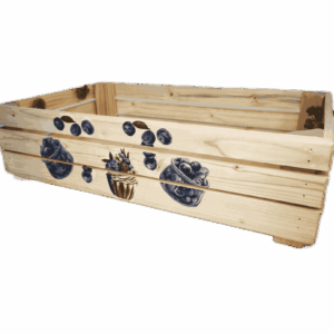 Bedýnka OLA, s obrázkem, obdélníková, velká - borůvky