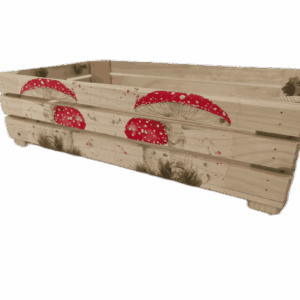 Bedýnka OLA, s obrázkem, obdélníková, velká - houby, muchomůrky