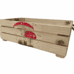 Bedýnka OLA, s obrázkem, obdélníková, malá - houby, muchomůrky
